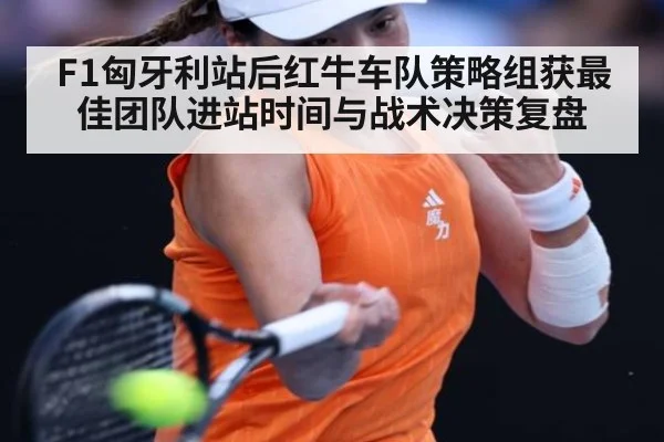F1匈牙利站后红牛车队策略组获最佳团队进站时间与战术决策复盘